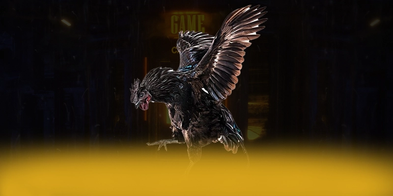 SA88 - Cổng giải trí có quà tặng đặc biệt hiện nay – Khám phá SA88