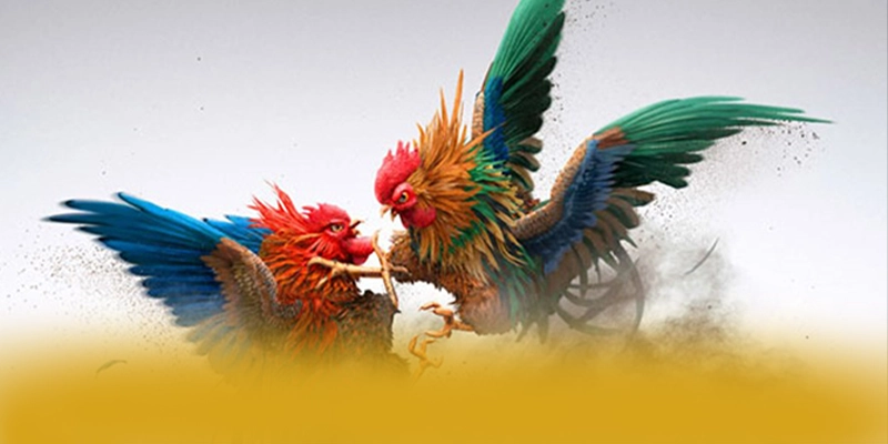 WIN79 – Sân chơi an toàn tuyệt đối, được cộng đồng đánh giá tích cực. WIN79 – Sân chơi an toàn tuyệt đối, được cộng đồng đánh giá tích cực.