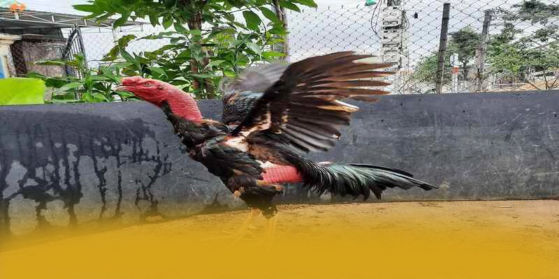 WIN79 - Tổng quan về thương hiệu một cách toàn diện. WIN79 - Tổng quan về thương hiệu một cách toàn diện.