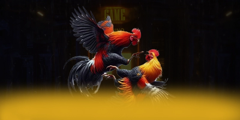 AU88 – Cổng giải trí đẳng cấp, được người chơi yêu thích. AU88 – Cổng giải trí đẳng cấp, được người chơi yêu thích.