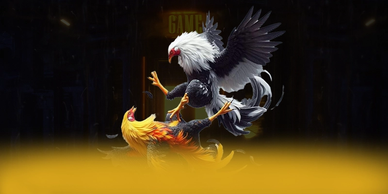 RR99 - Cổng game được đánh giá cao về độ tin cậy được giới chuyên môn đánh giá cao – Đánh giá RR99