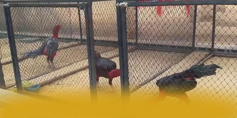 KKWIN – Cổng trò chơi được đánh giá cao, được giới cược thủ đánh giá cao.