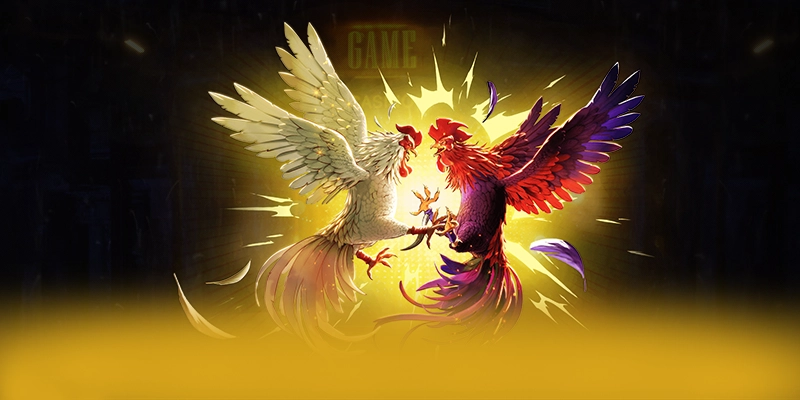 Cùng trải nghiệm NK88 - Cổng game bài chất lượng trên thị trường
Cùng trải nghiệm NK88 - Cổng game bài chất lượng trên thị trường